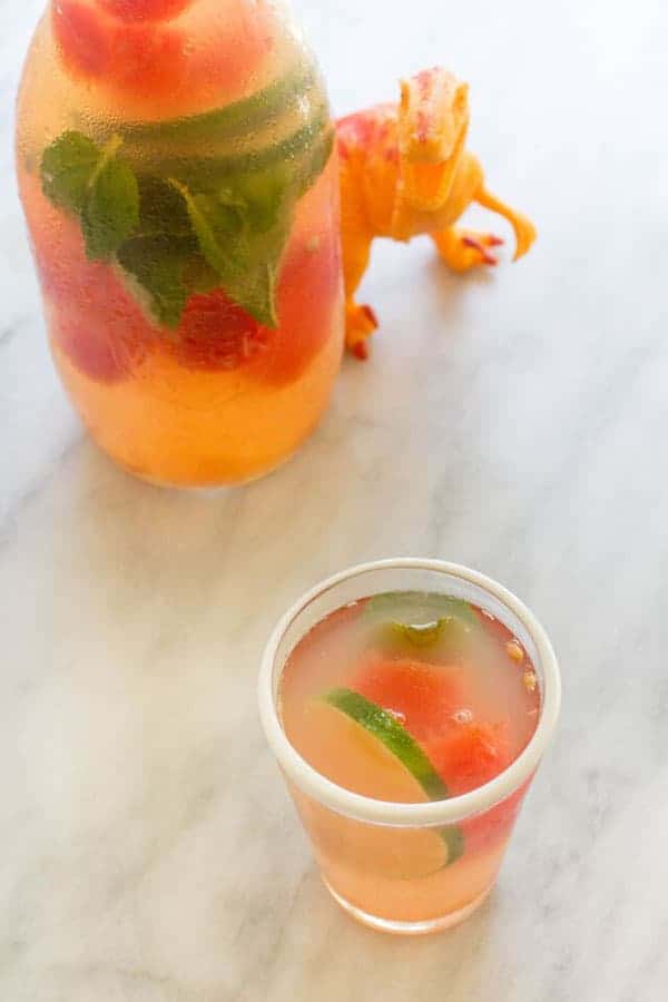 Mint and Watermelon Spa Water recipe by @beardandbonnet www.thismessisours.com