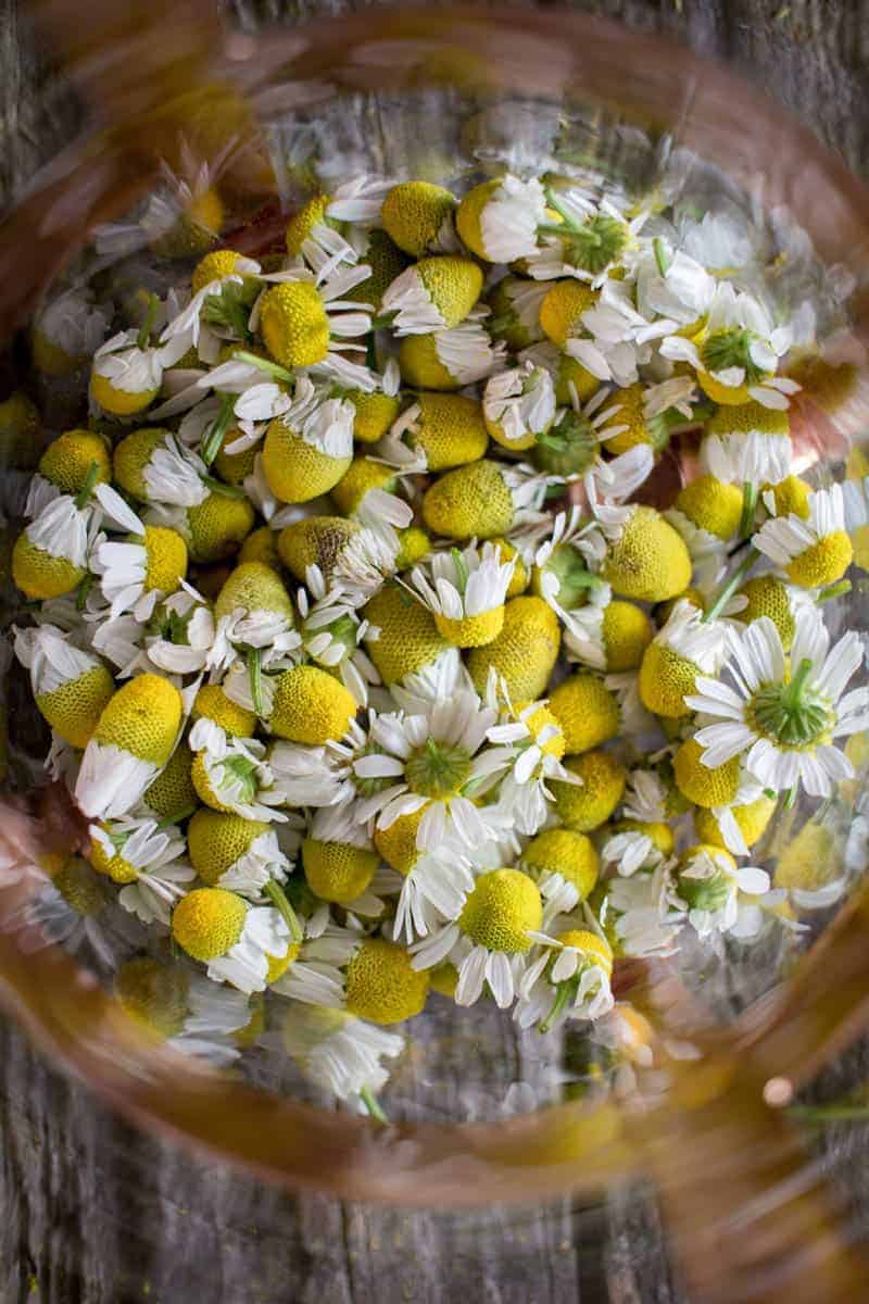 5 Delicious Ways to Indulge with Fresh Chamomile by @vigorandsage & @beardandbonnet onwww.thismessisours.com