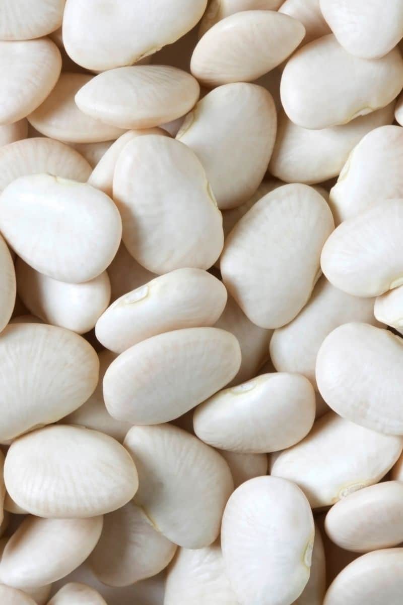 The Best MediterraneanStyle Baked Lima Bean Recipe This Mess is Ours