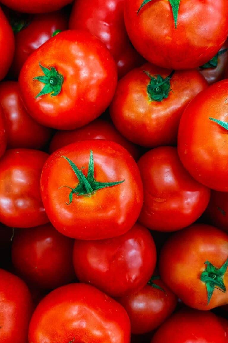 The Best MediterraneanStyle Baked Lima Bean Recipe This Mess is Ours