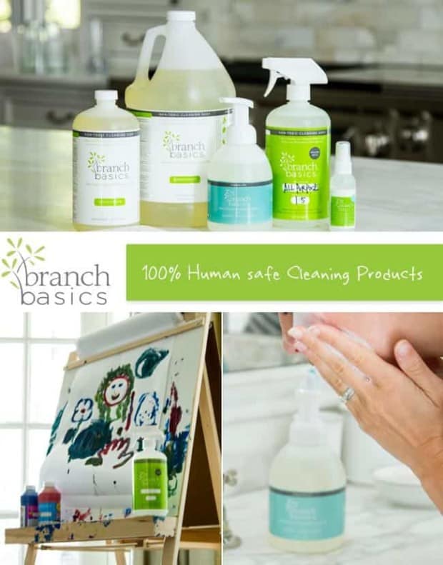Spotlight on B & B: Branch Basics and a Special Deal For Our Readers ...
