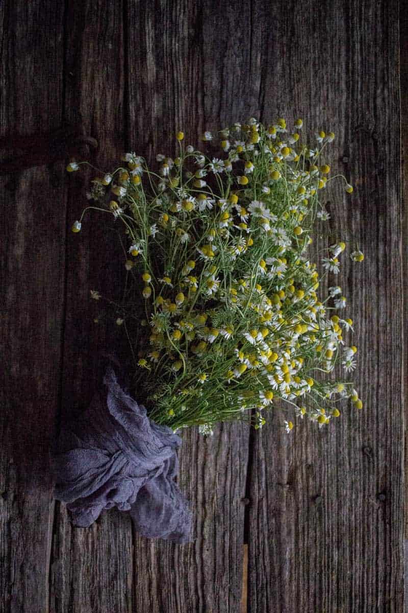 5 Delicious Ways to Indulge with Fresh Chamomile by @vigorandsage & @beardandbonnet onwww.thismessisours.com