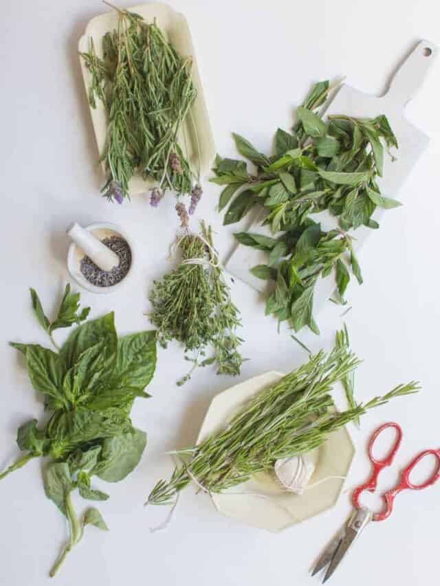 5 Herbs To Use Outside Of Your Kitchen