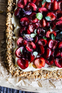Close up of a Gluten Free Fresh Cherry Pretzel Tart where you can see the layers of pretzel crust, cream cheese, and fresh cherry halves.