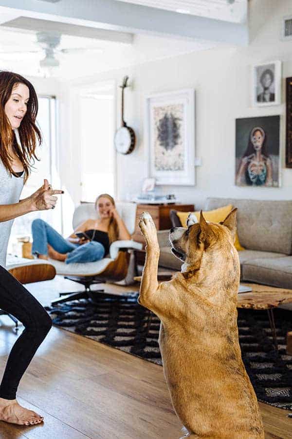 A woman and a dog in a den. The woman is holding her hand in the shape of a gun and the dog has his paws in teh air playing stick 'em up! 