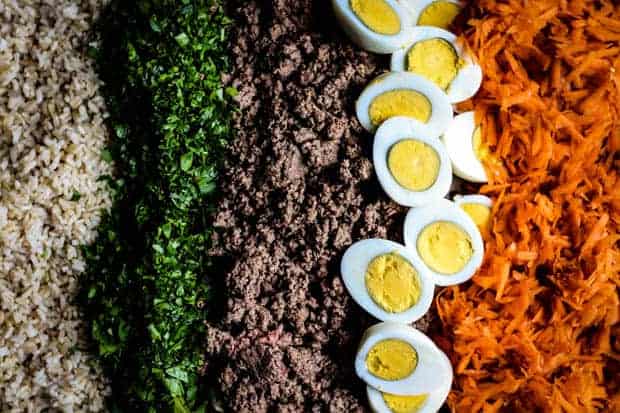 A close up of the ingredients needed to make homemade dog food. Ground beef, brown rice, shredded carrot, hard boiled egg, parsley