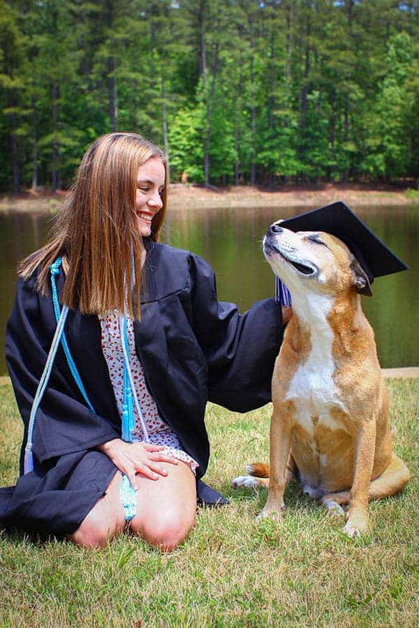 A dog sitting on the lawn next to a high school graduate in her cap and gown. The girl is placing her graduation cap on teh dogs head and he is happy.