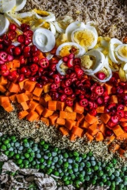 A close up of home made dog food. Brown rice, hard boiled eggs, fresh sliced cranberries, sweet potato, hemp hearts, green peas, and ground turkey