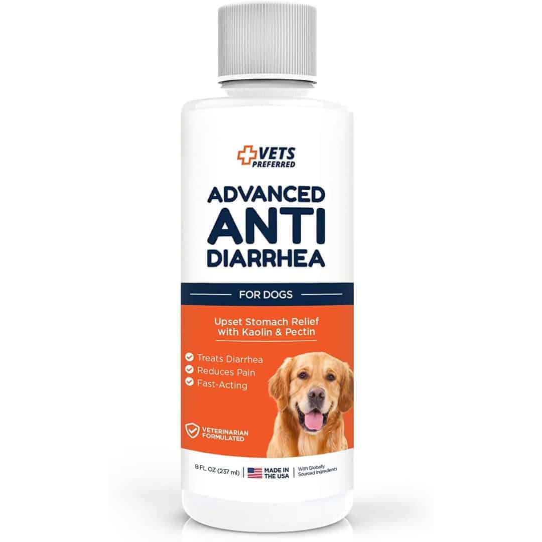 Dog Stomach Relief This Mess is Ours