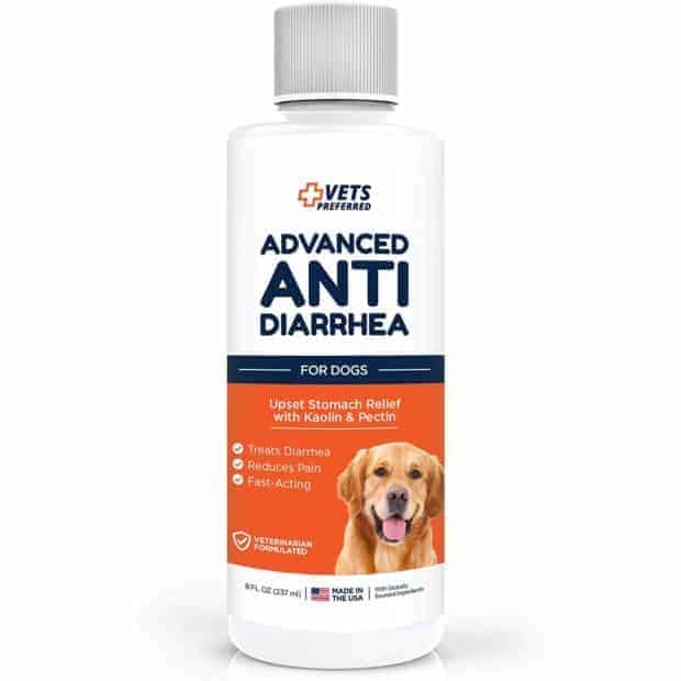 Dog Stomach Relief This Mess is Ours