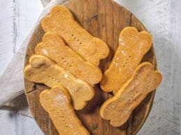 Organic peanut butter dog treats recipe best sale