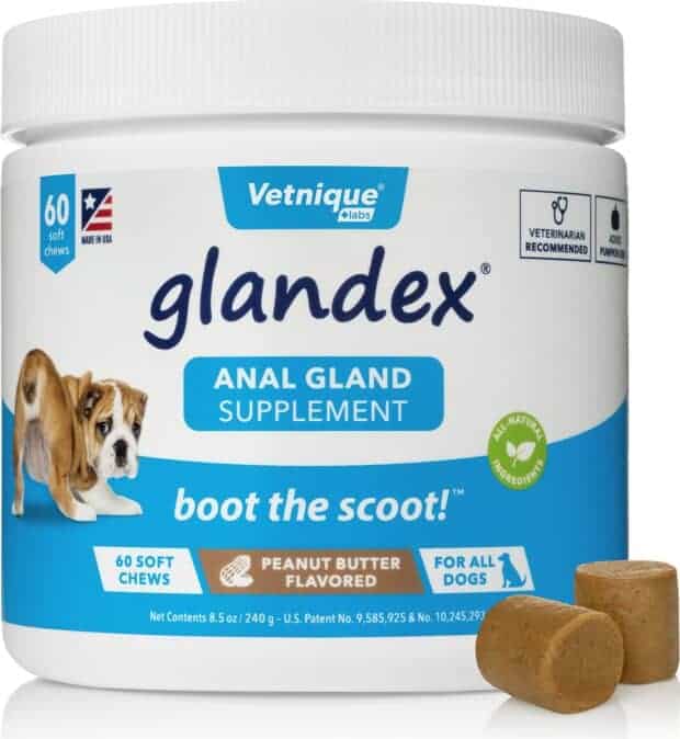 Glandex Anal Gland Support with Pumpkin, Probiotics & Fiber Peanut Butter Soft Chews Dog Supplement