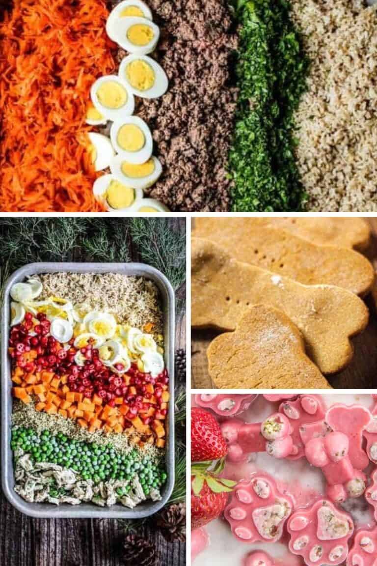 Easy Homemade Dog Food Recipe | This Mess is Ours
