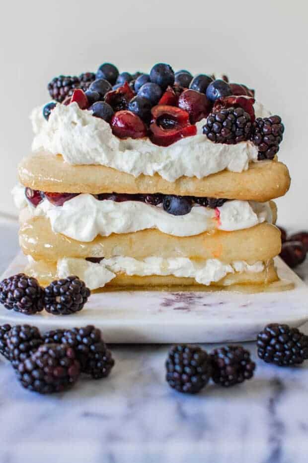A red, white, and blue dessert cake from the front view. Layers of lady fingers, whipped cream, and fresh fruit.