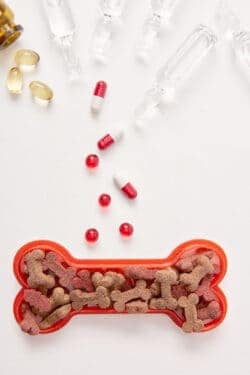 What I've learned about Dog Vitamins + Kidney Disease