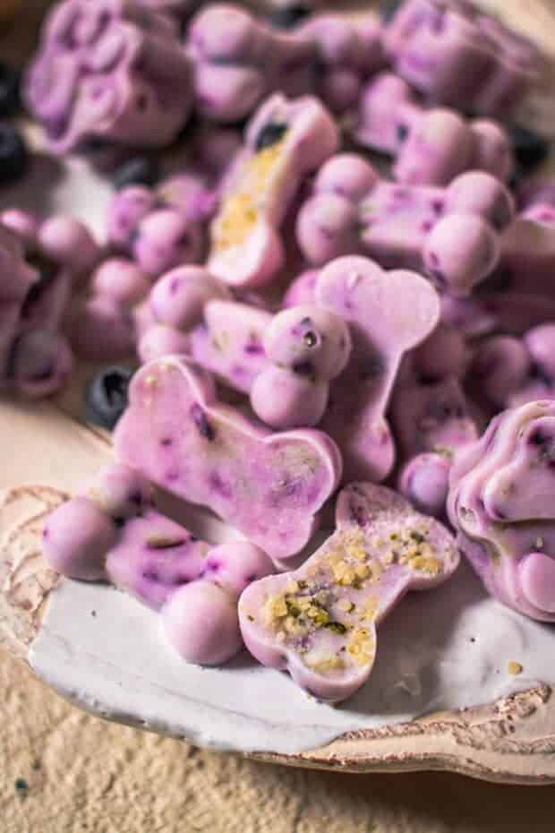 Miniature bone shaped dog treats made of frozen blended Greek yogurt and blueberries.