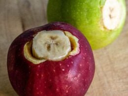 Dog likes sale apples