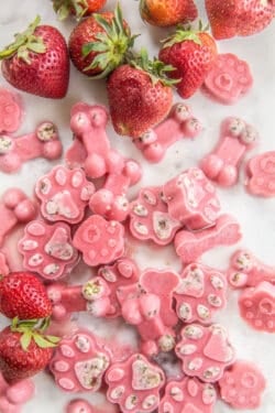 Can dogs eat strawberries? Frozen Strawberry & Goat Milk Dog Treats