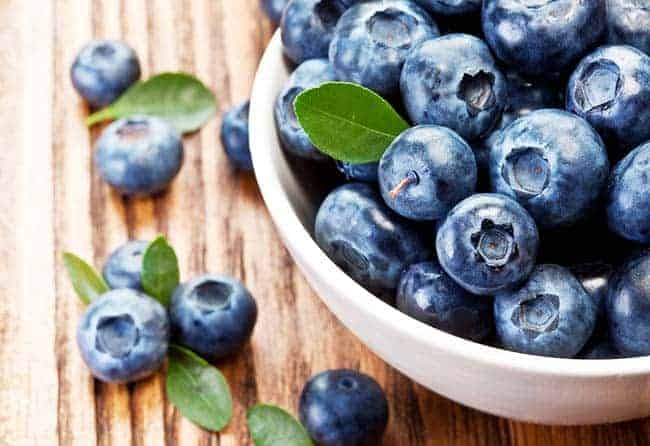 are blueberries safe for small dogs