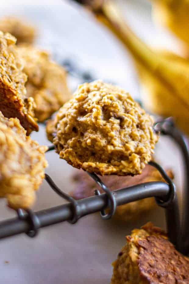 Can dogs eat banans? Yes! A close up view of homemade Banana Bread Dog Treats.