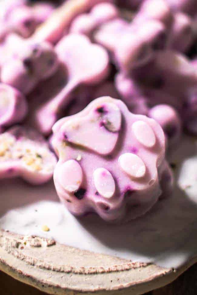 Frozen Blueberry and Yogurt Dog Treats