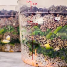 Anti-Inflammatory Home Made Dog Food-image