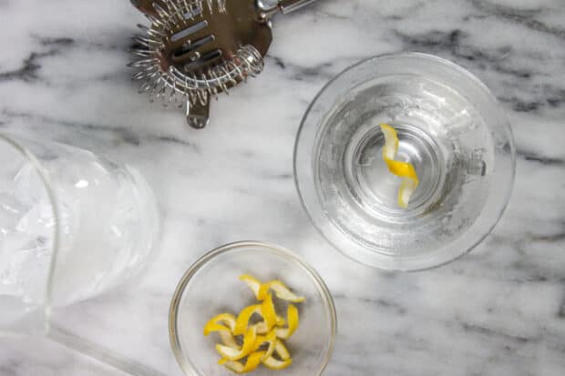 A gin martini with a twist.