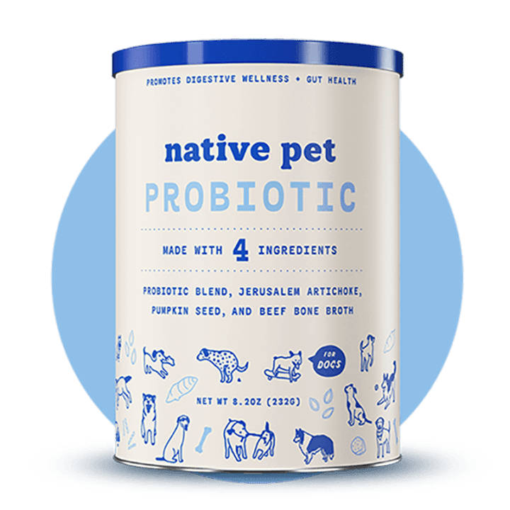 The Best Probiotics For Dogs To Keep Your Dog Healthy and Happy in 2022