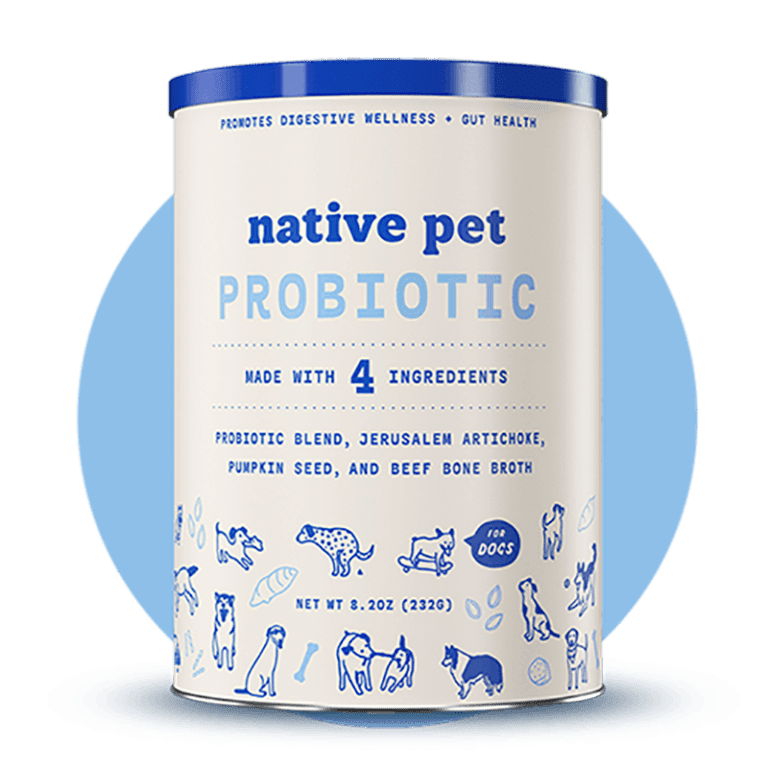 The Best Probiotics For Dogs To Keep Your Dog Healthy and Happy in 2022