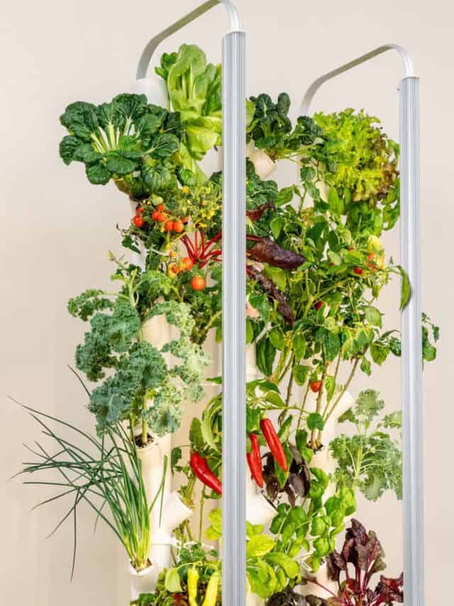 How To Grow Food Indoors With Gardyn