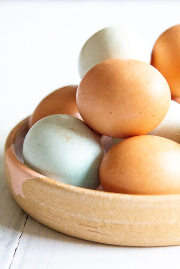 Can Dogs Eat Eggshells? An Easy Recipe To Boost Your Dog's Calcium Level This Mess is Ours