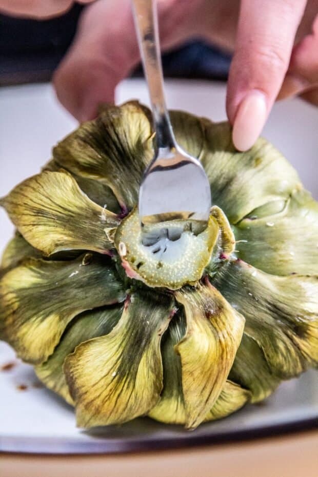 The back end of a steamed artichoke with a fork inserted into the stem testing doneness.