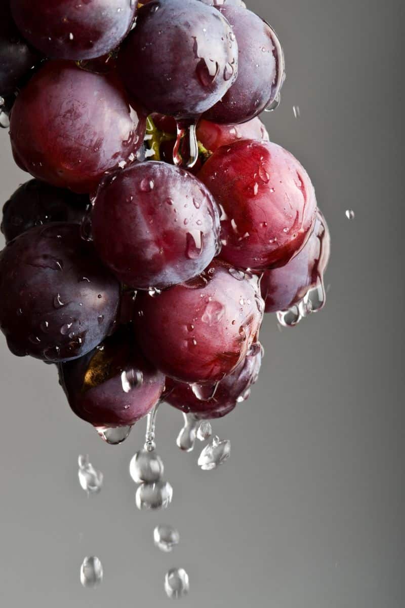 Are red grapes 2024 bad for dogs