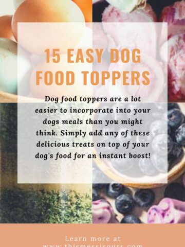 The Best Easy Dog Food Toppers To Give Your Pup 