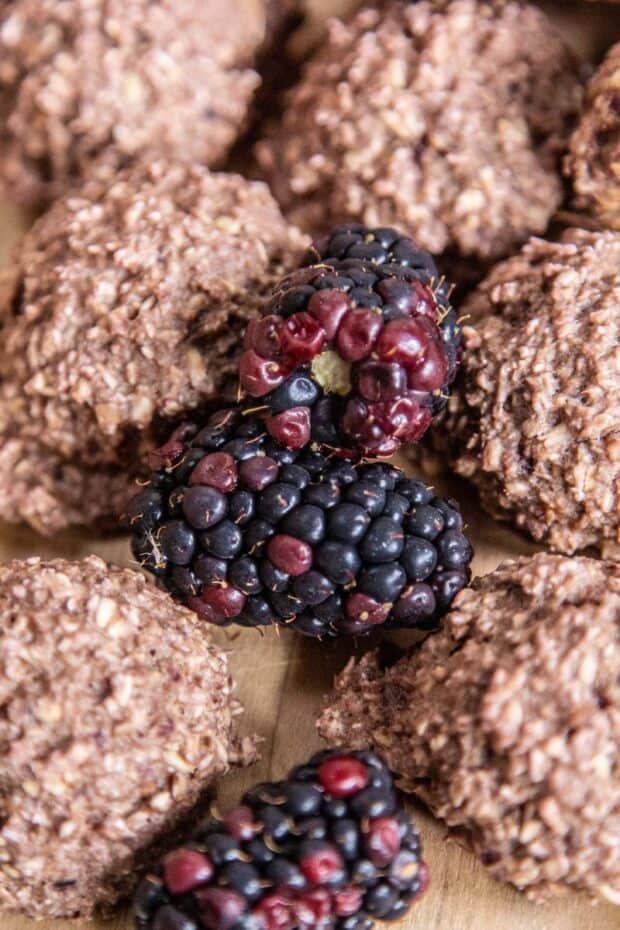 Can dogs eat blackberries? A Soft Baked Blackberry Dog Treat. This