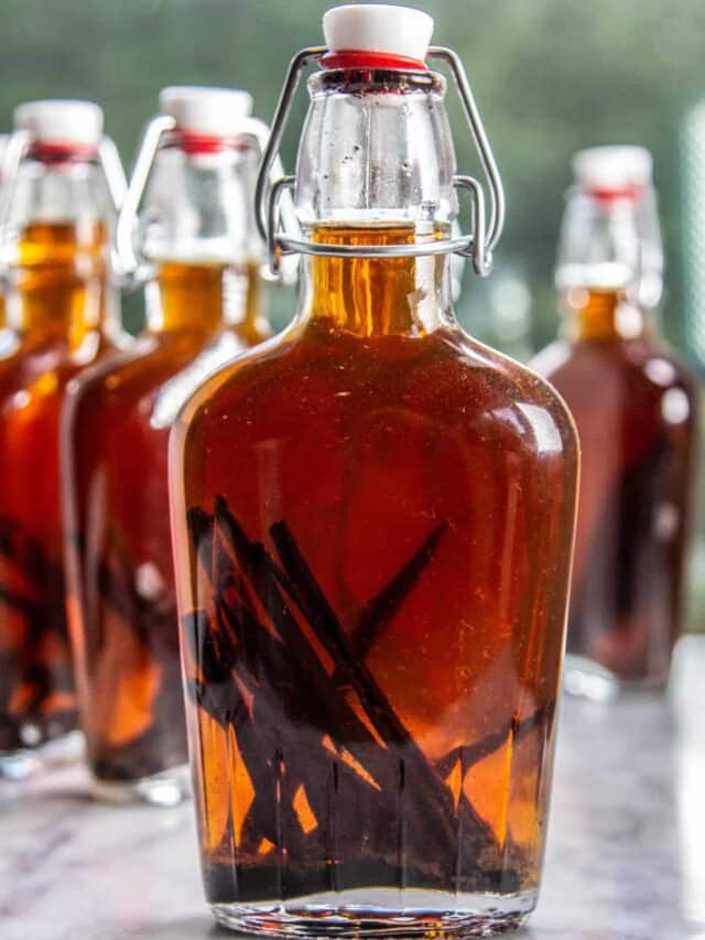 How Vanilla Extract is Made; An Easy Recipe