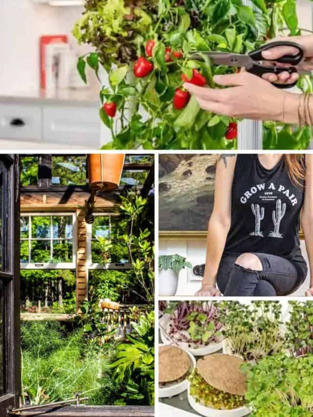 Gift Guide for Gardeners