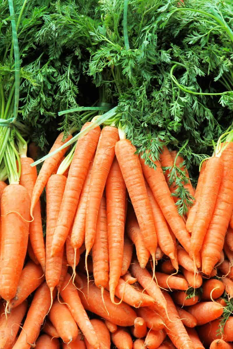 bunch of carrots