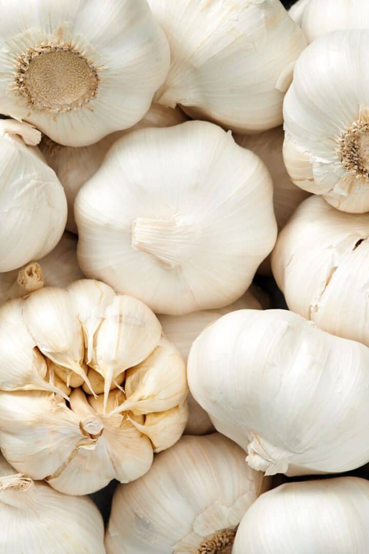 The Best MediterraneanStyle Baked Lima Bean Recipe This Mess is Ours