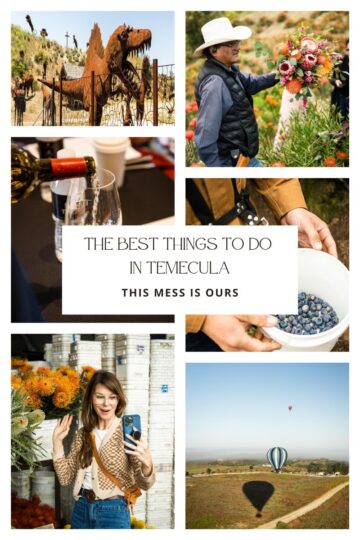Collage of The Best Things To Do In Temecula