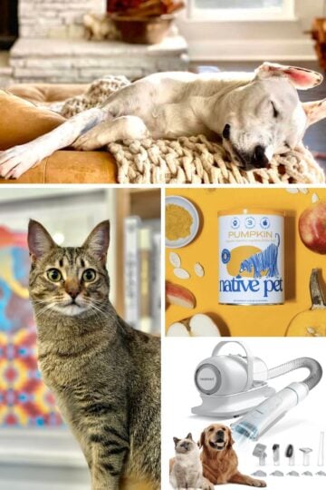 A collage with images of pet products as well as a cat and a dog.