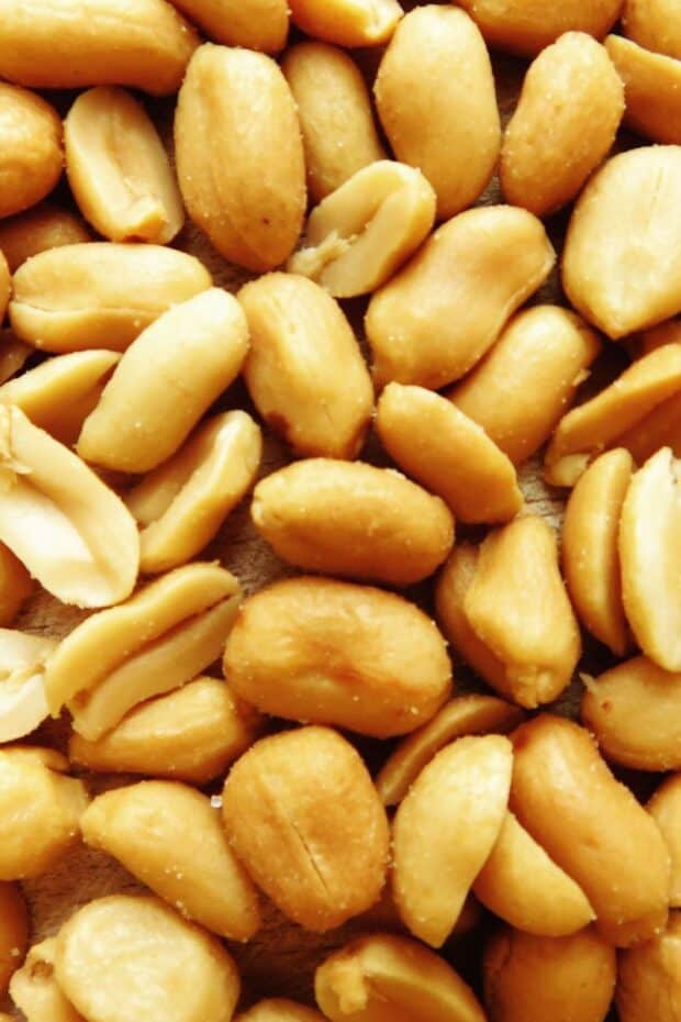 close up shot of peanuts