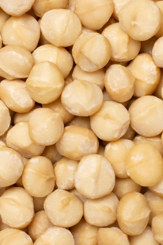 close up shot of macadamia nuts