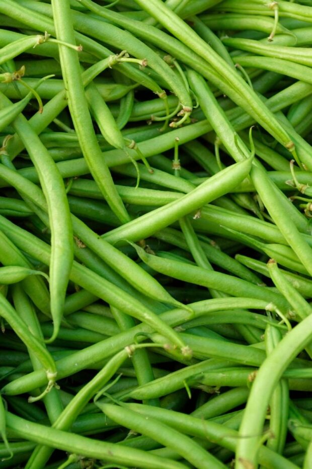 close up shot of green beans