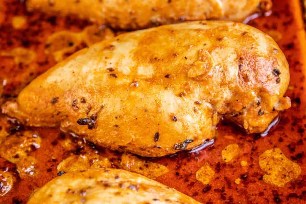 close up shot of a greek marinated chicken breast after being cooked