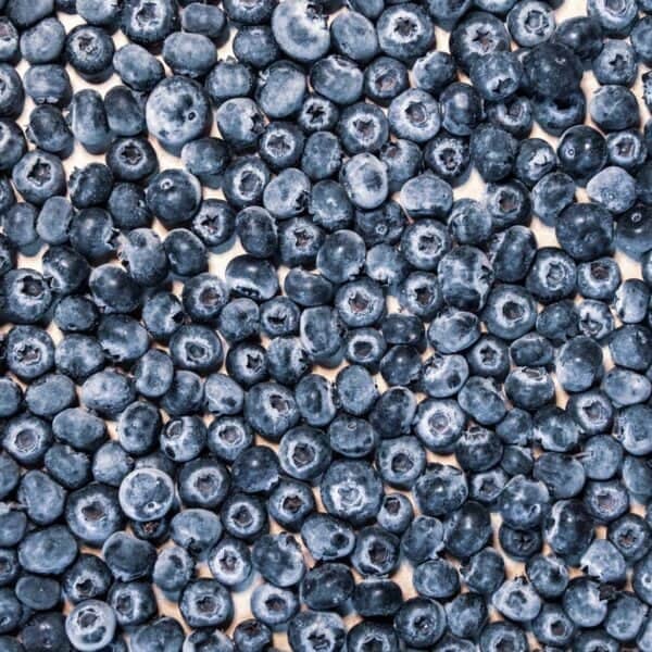TMIO how to freeze blueberries-5